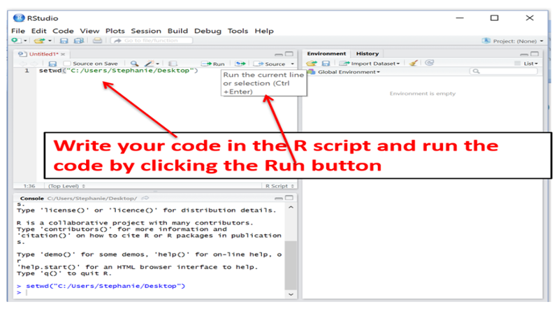 Enter code into a script